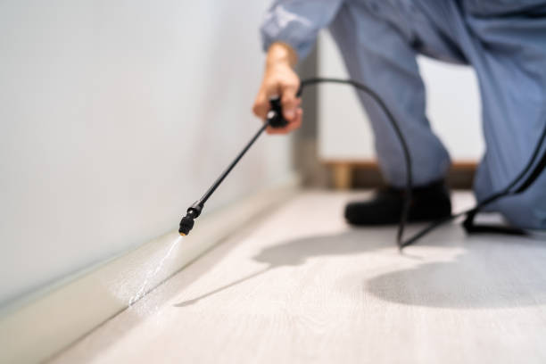 Bed Bug Pre-Treatment Preparation Assessment in Bad Axe