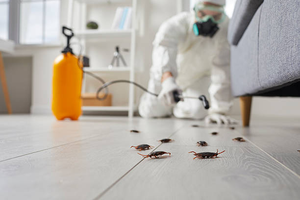 Post-Treatment Bed Bug Interceptor Monitoring in Bad Axe