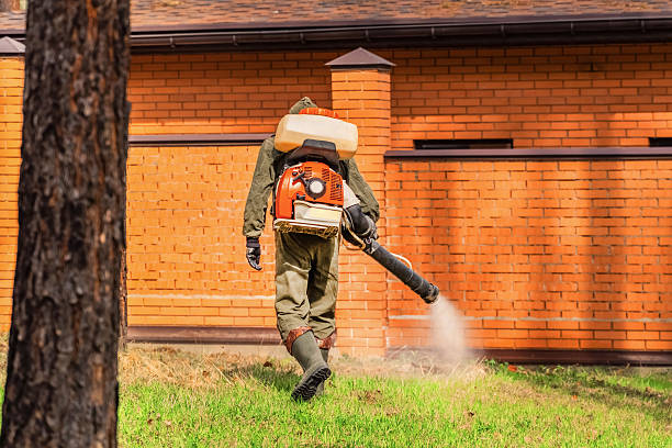 Bed Bug Clearance Verification and Documentation in Bad Axe